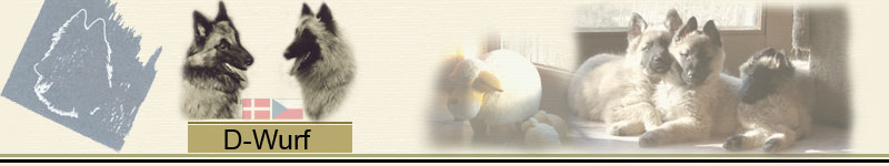 D_Wurf_Banner